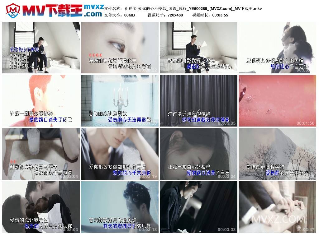 孔祥宝-爱你的心不停息_国语_流行_YE500288